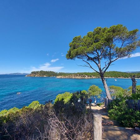 Coquet Studio Avec Belle Terrasse Apartamento La Londe-les-Maures Exterior foto